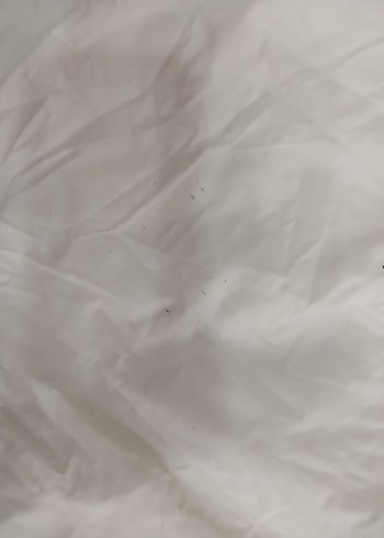 Beyaz Kapüşonlu Fermuarlı Yağmurluk - Görsel 5