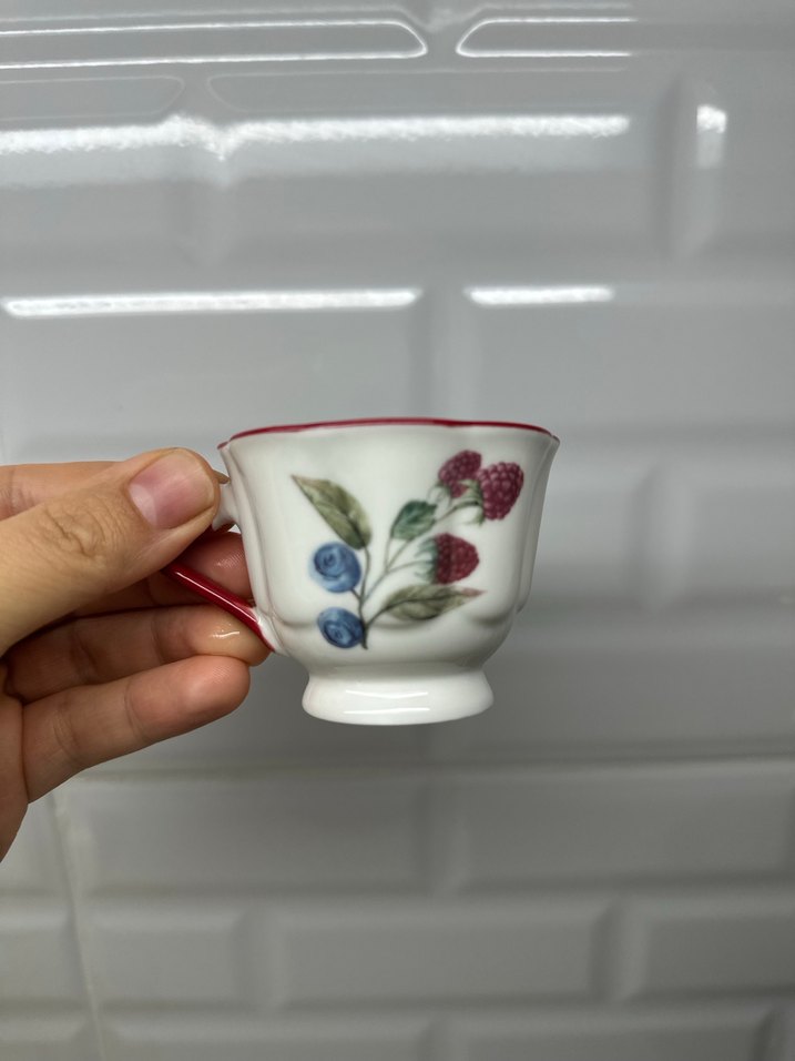 Renkli Meyve Desenli İki Fincan ve Tabak Seti - Görsel 4