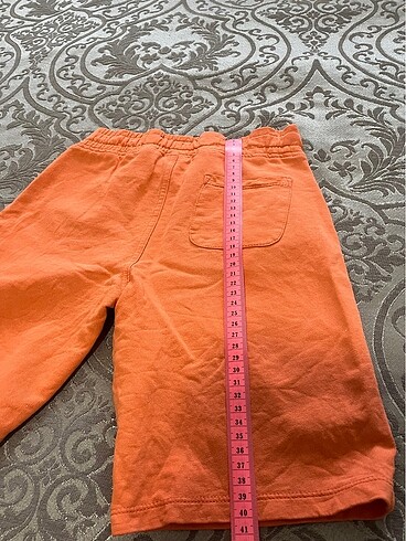 U.S Polo Assn. Şort&bermuda