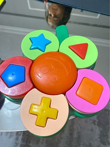 Fisher Price Bul tak