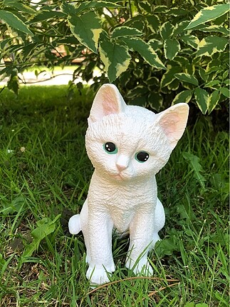  Beden beyaz Renk Kedi biblosu