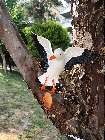 Duvar kuşları