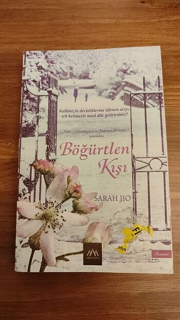 Böğürtlen Kışı ( Roman) 