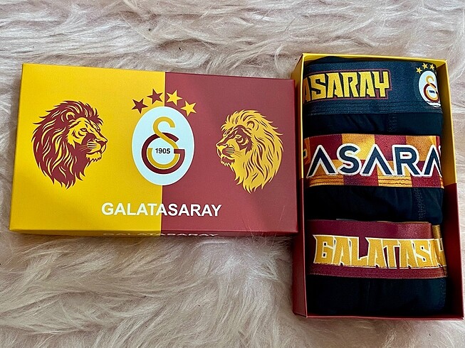 Galatasaray Boxer