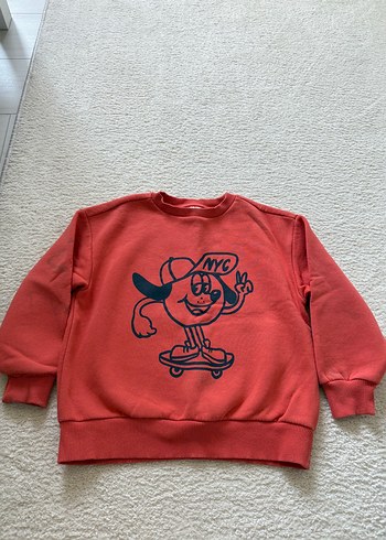 Erkek Çocuk Renkli Baskılı Sweatshirt