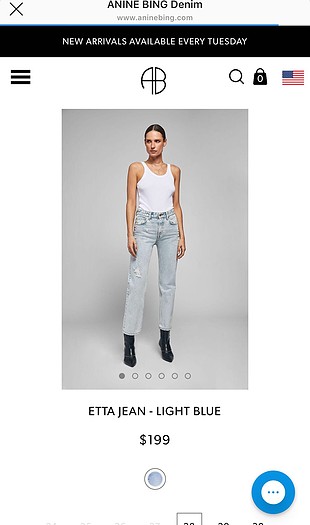 Anine Bing jean