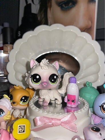 kedi minis