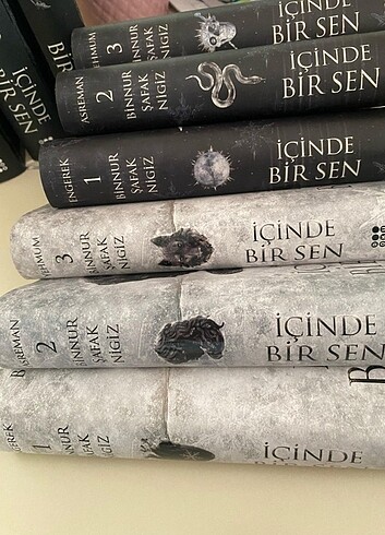  İçinde Bir Sen serisi