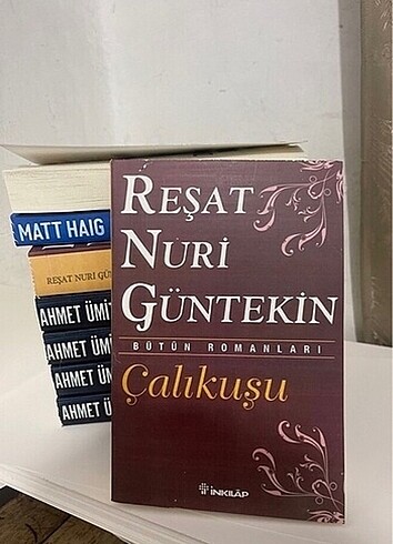 Çalıkuşu