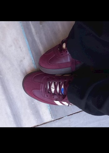 Adidas Bordo adidas samba