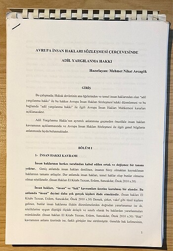 Uluslararası Alanda İnsan Haklarının Korunması ve Avrupa Sistemi