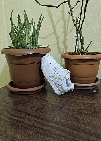 33 Beden Adidas forum low çocuk spor ayakkabı Beyaz renk Üst kalite Kutul