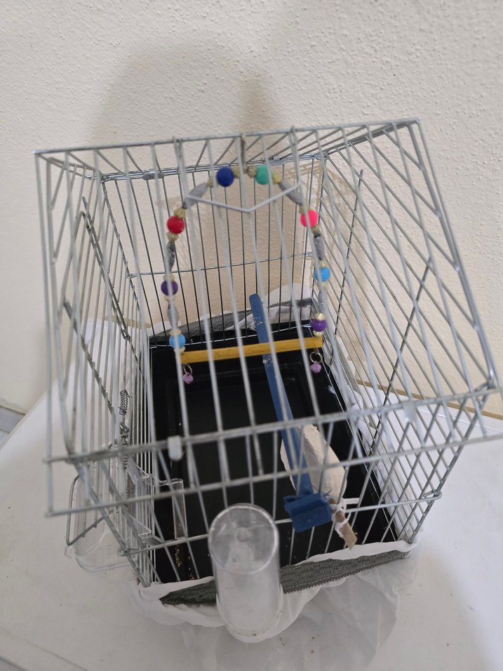 Renkli Boncuklu Kuş Kafesi - Görsel 2