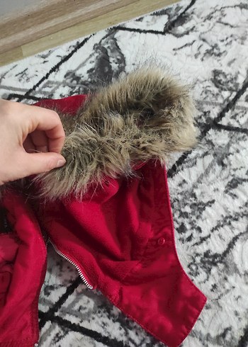 Kırmızı Fermuarlı Kısa Street Style Kadın Ceket - Görsel 8