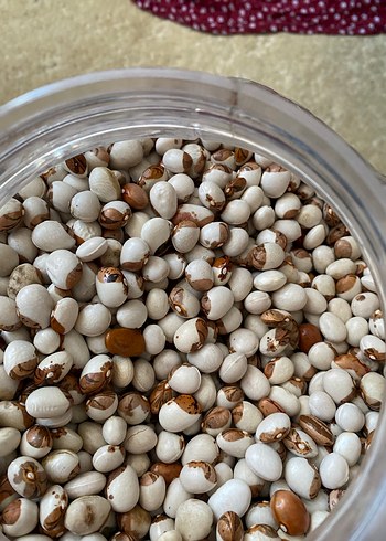 Organik köy fasülyesi - Görsel 2