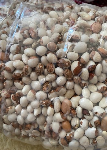 Organik köy fasülyesi - Görsel 3