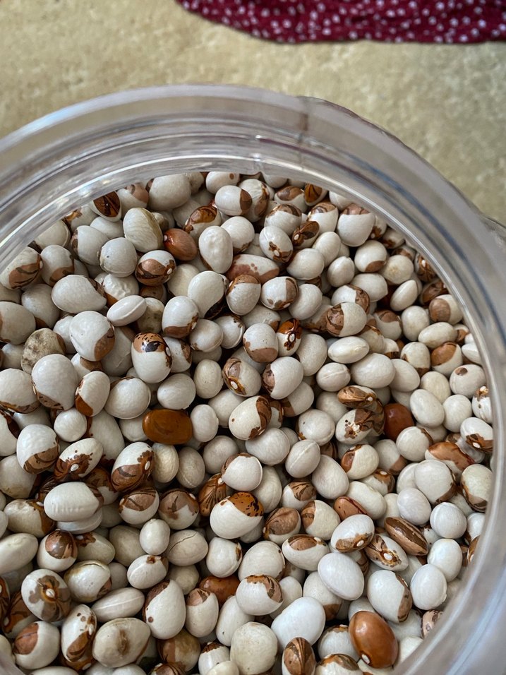 Organik köy fasülyesi - Görsel 2