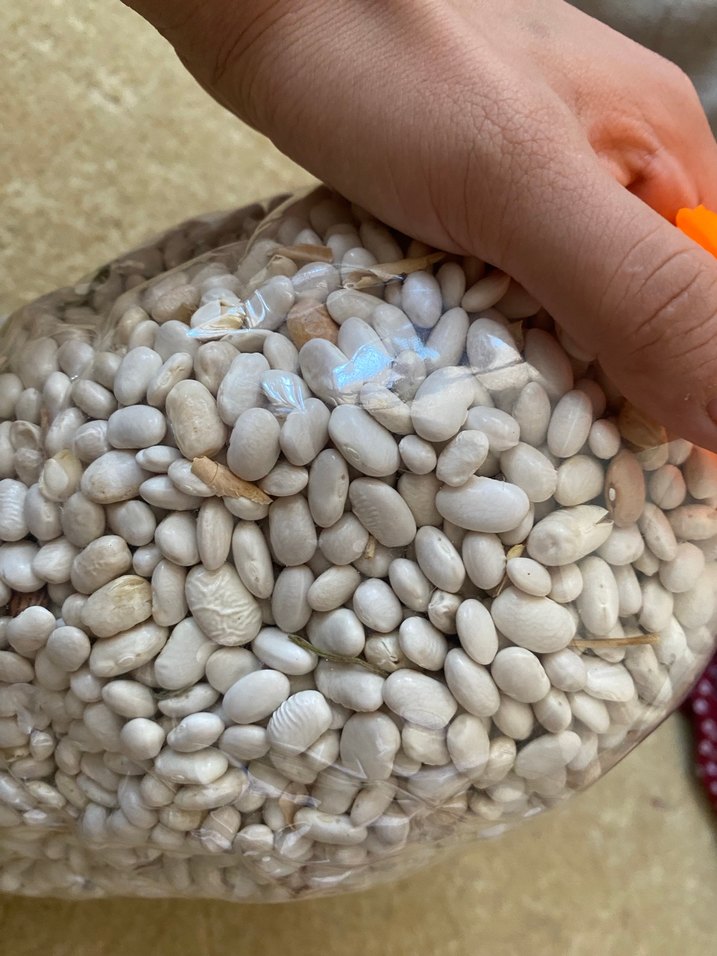 Beyaz Fasulye organik köy fasülyesi - Görsel 3