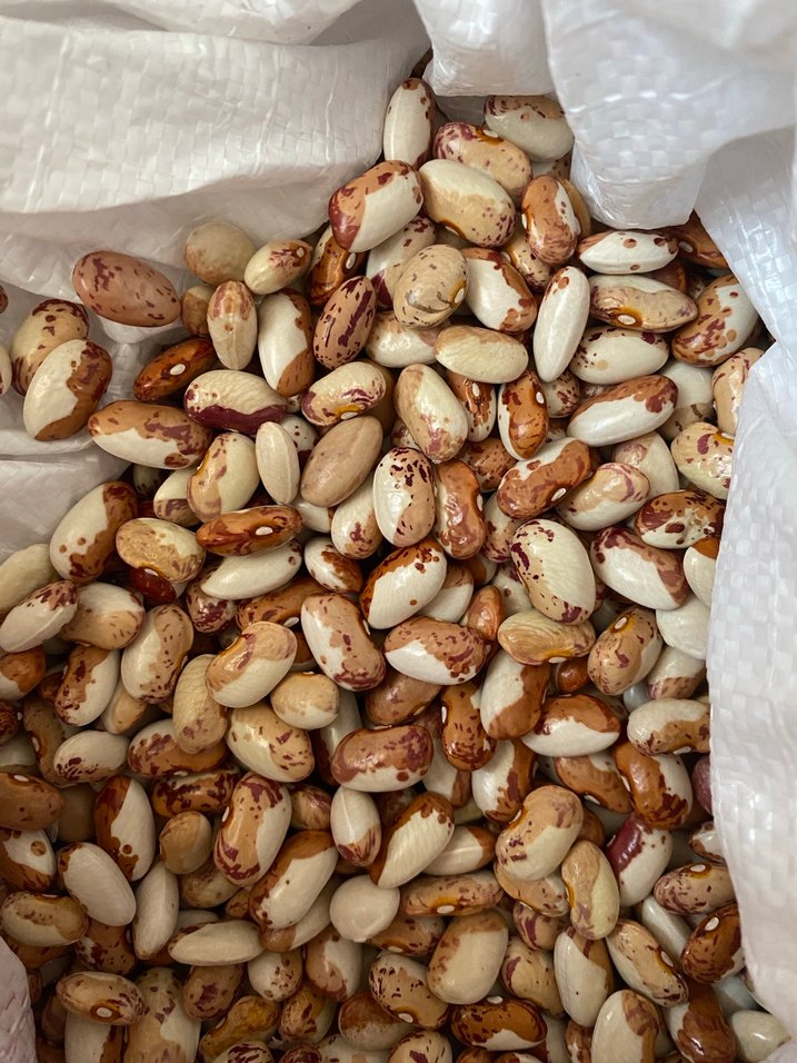 Organik Kuru Fasulye - Görsel 2