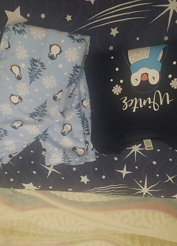 Beden çeşitli Renk Polar pijama takımı