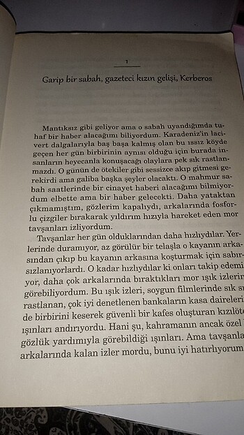 Livaneli kardeşimin hikayesi - Görsel 5