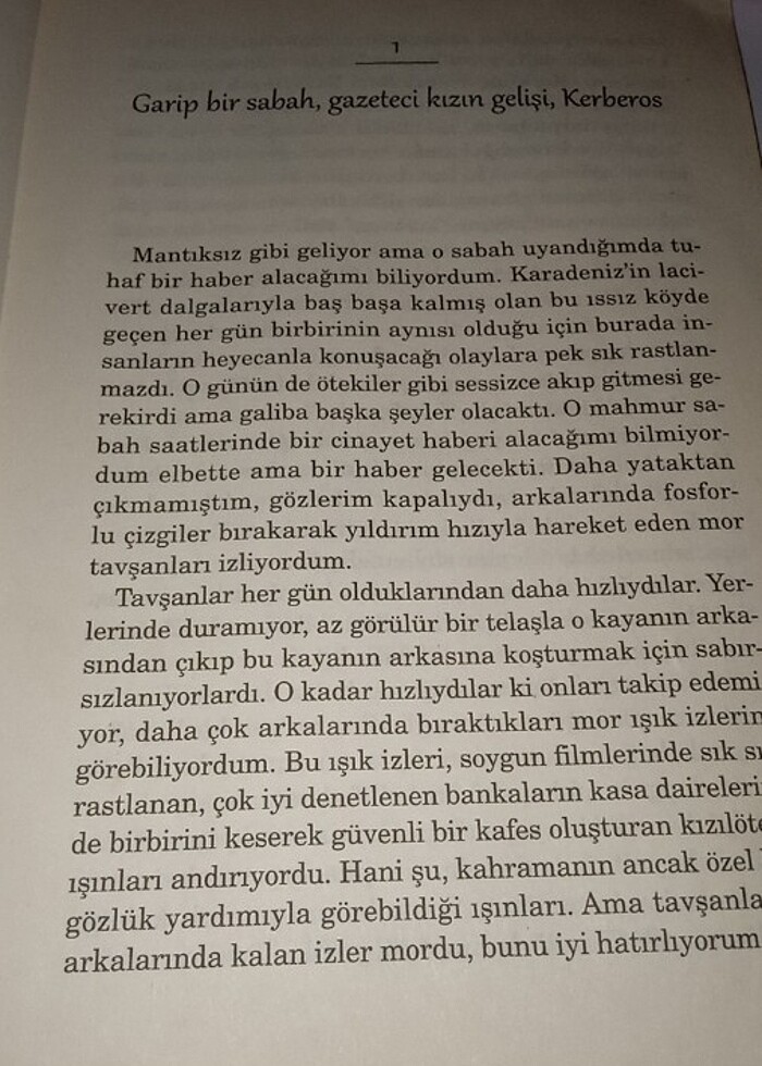 Livaneli kardeşimin hikayesi - Görsel 5