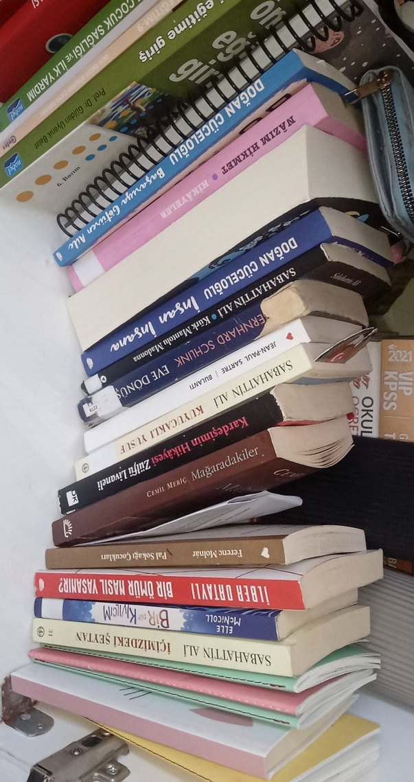 Kardeşimin hikayesi Livaneli - Görsel 3