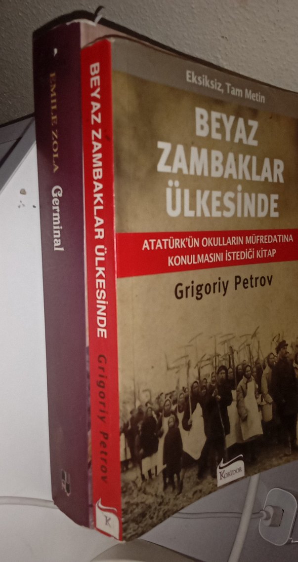 Kardeşimin hikayesi Livaneli - Görsel 4