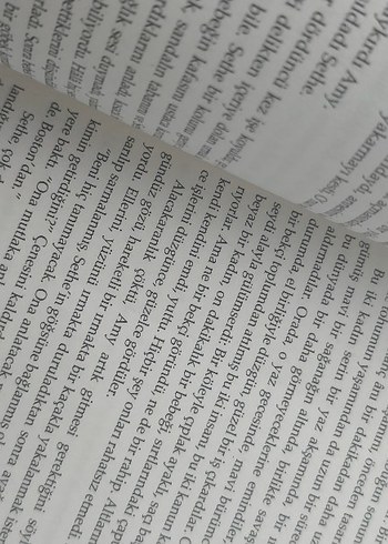 Sevilen* - Görsel 3