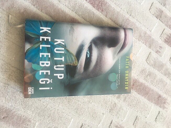 Kutup Kelebeği