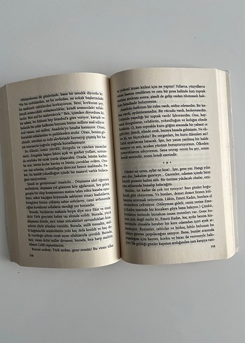 Yaban Roman Kitabı - Görsel 2