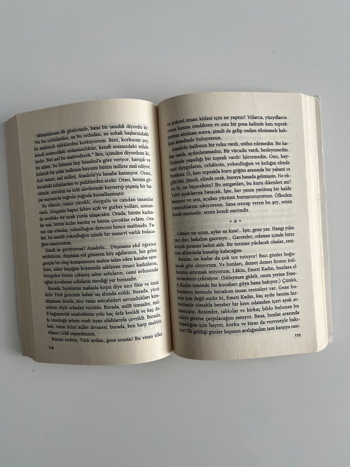 Yaban Roman Kitabı - Görsel 2