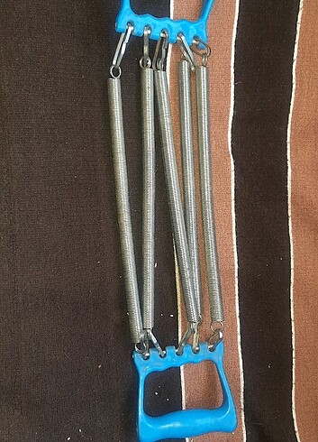 Göğüs yayı