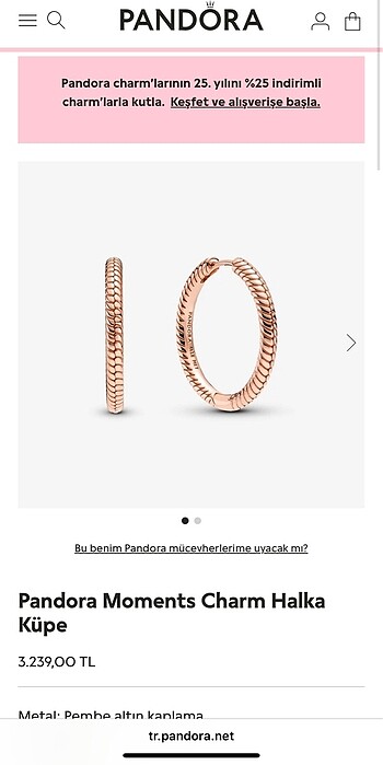 Pandora Moments Charm Küpe