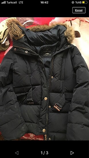 zara mont