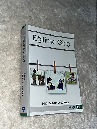 Eğitime giriş gülay ekici