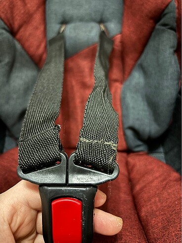 Puset / Anakucağı - Görsel 5