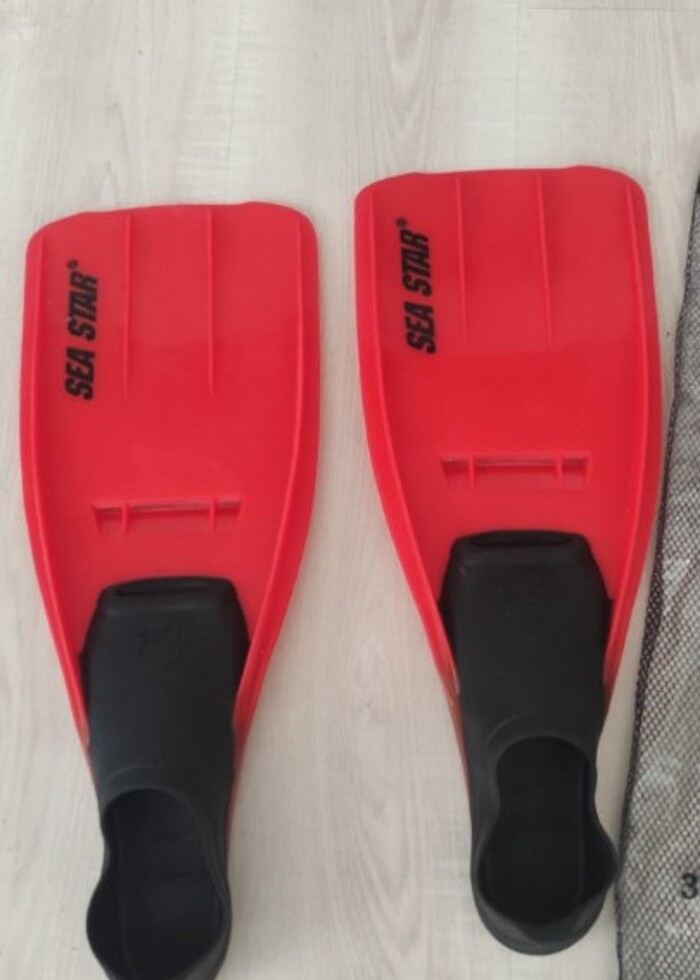 Sea Star Palet - Görsel 2