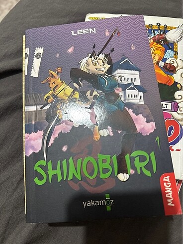  Beden Renk Manga