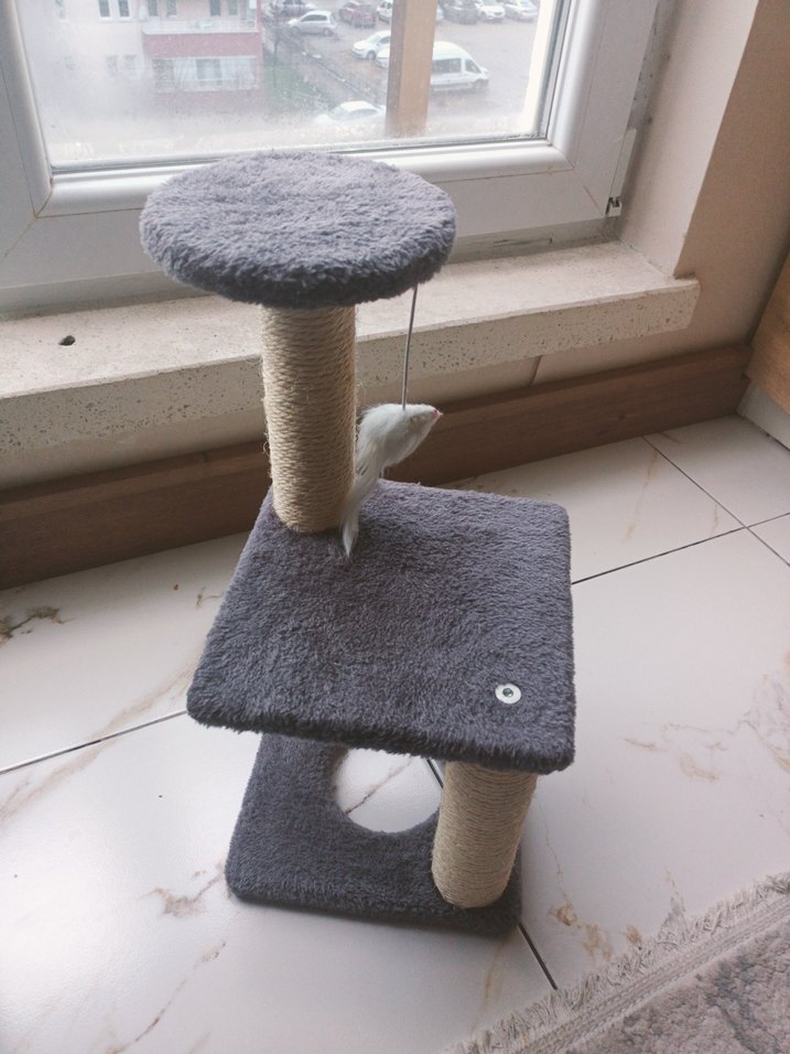 Gri Yumuşak Kedi Yatağı ve tırmanma - Görsel 4