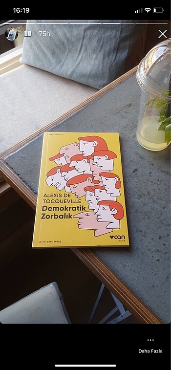 Demokratik zorbalık