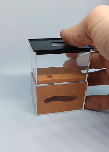 Karınca formicaryum u