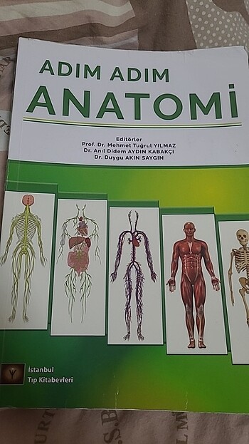 Adım adım anatomi 