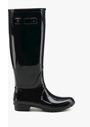 Igor 37