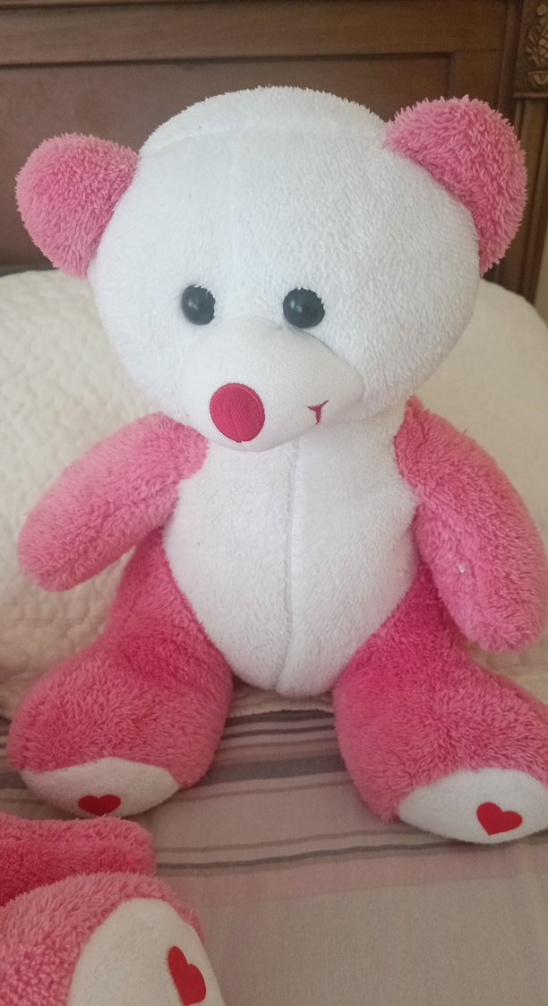 Pembe ve Beyaz Peluş Ayıcık - Görsel 3