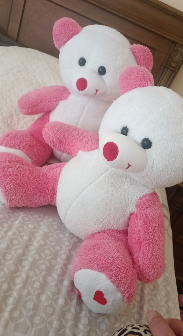 Pembe ve Beyaz Peluş Ayıcık - Görsel 2