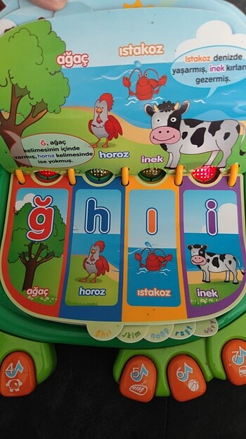 Beden Vtech öğretmenim kaplumbağa
