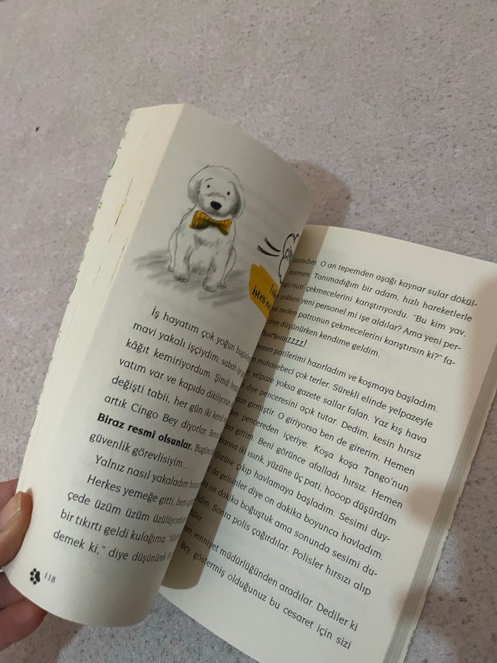 Çingo: Ben İnsan Değil Miyim? Çocuk Kitabı - Görsel 3