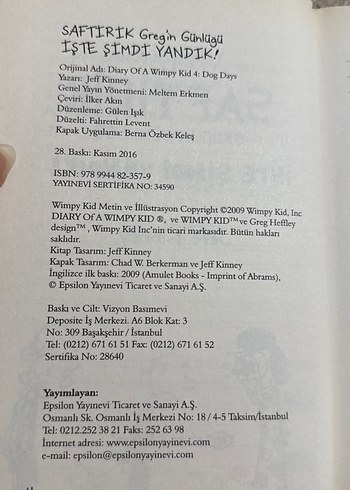 Wimpy Kid Saftirik Greg'in Günlüğü - İşte Şimdi Yandık! - Görsel 2