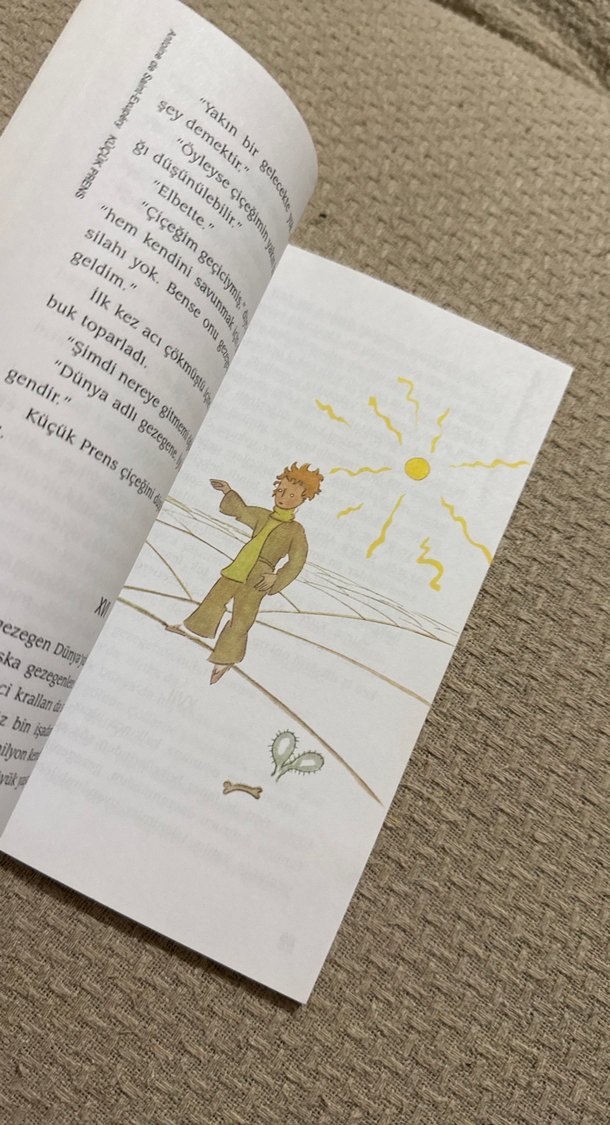 Küçük Prens - Antoine de Saint-Exupéry - Görsel 3